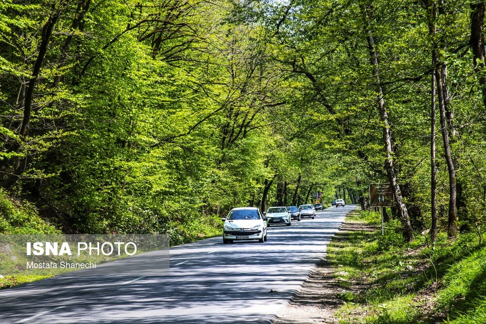 تصویر روستا